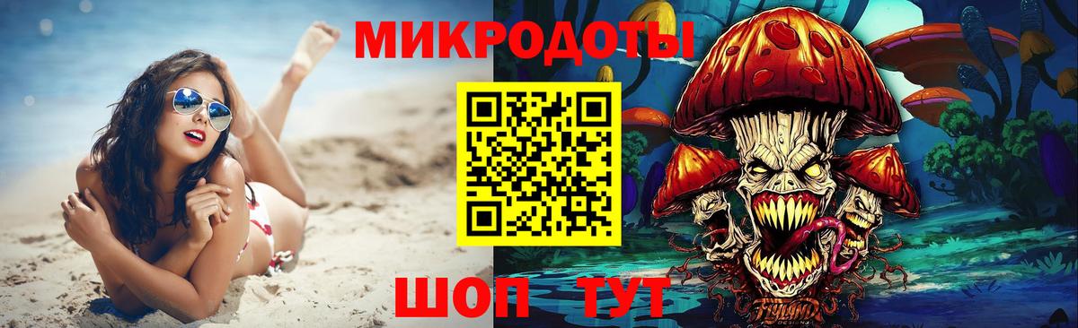 Псилоцибиновые грибы Psilocybe  Вход с VPN  Ивантеевка 